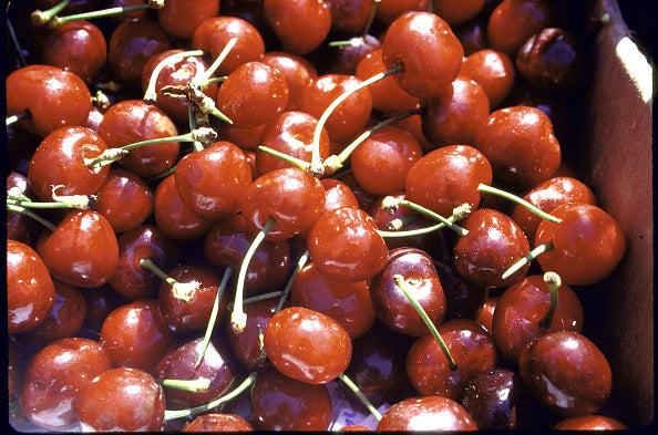 CHERRIES.jpg