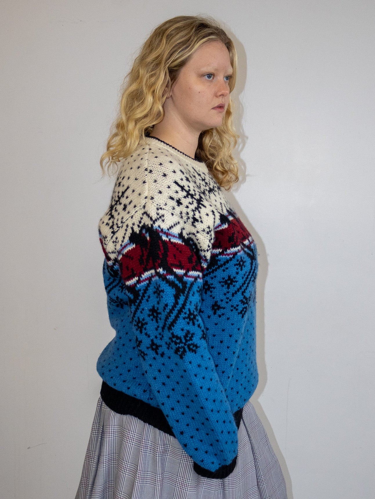 Vintage - 80s Ski Sweater (1X)