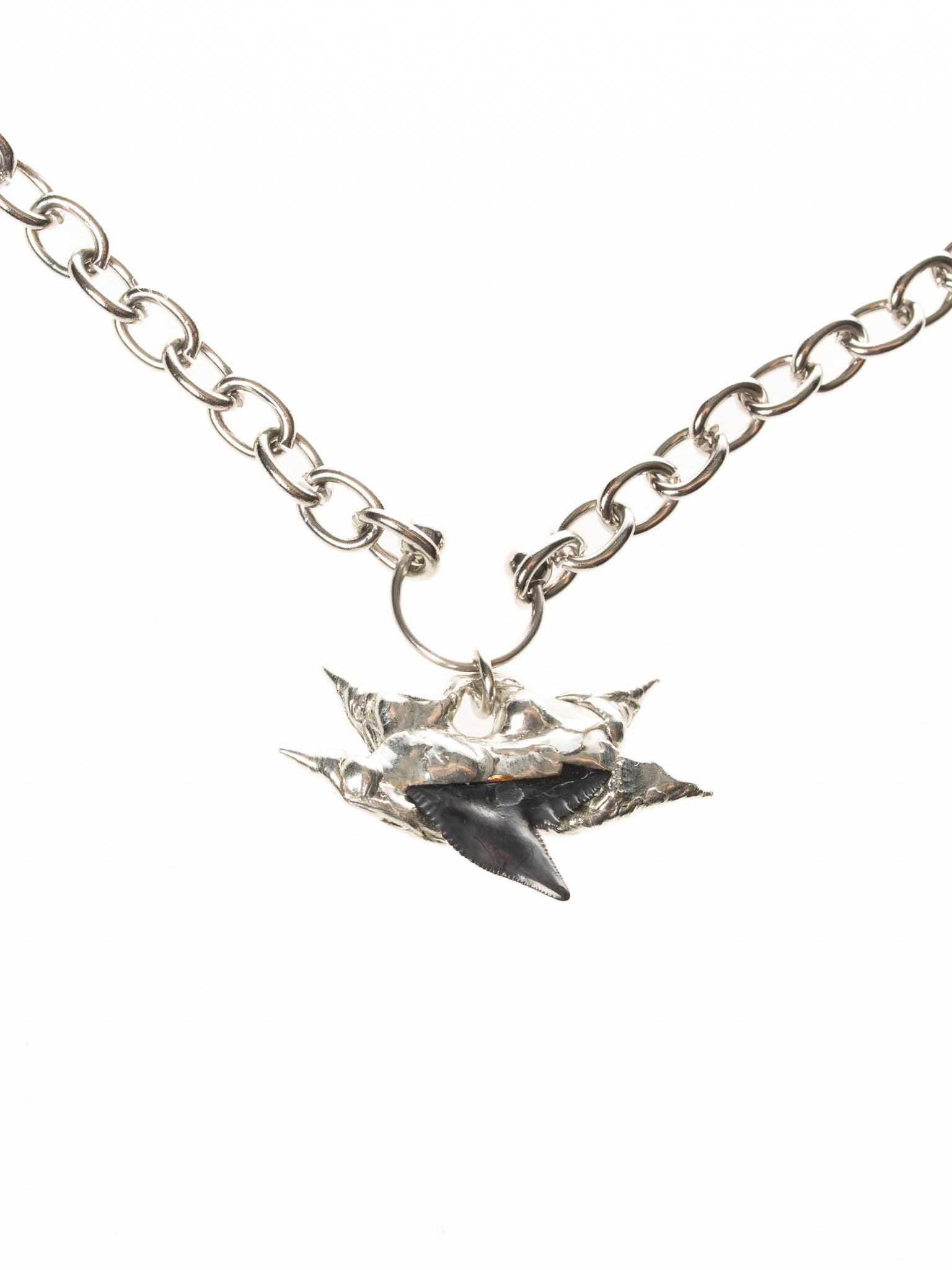 My Dearest World - Shark Tooth Pendant