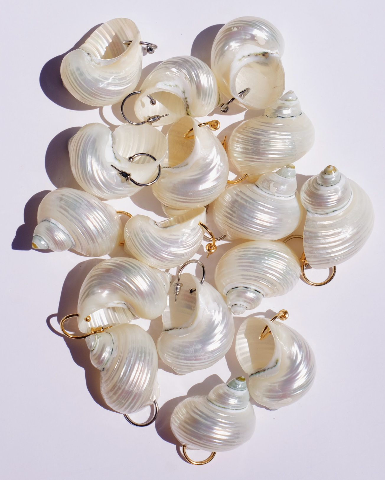 Luiny - Turbo Shell Earrings