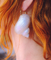 Luiny - Turbo Shell Earrings